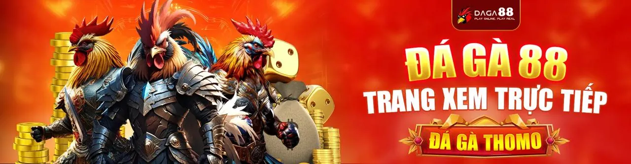 Đá Gà Trực Tuyến ws168 win