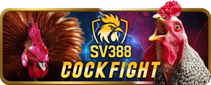Đá gà ws168 win